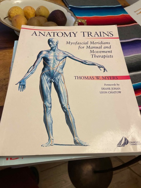 9780443063510-Anatomy-Trains