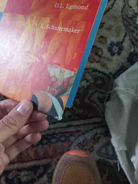 9789031361830-Extremiteiten