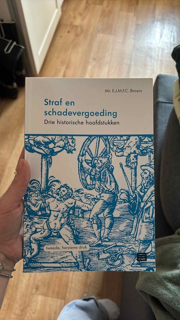 9789046609453-Straf-en-schadevergoeding