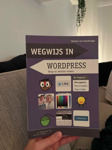 9789046903339-Wegwijs-in-WordPress