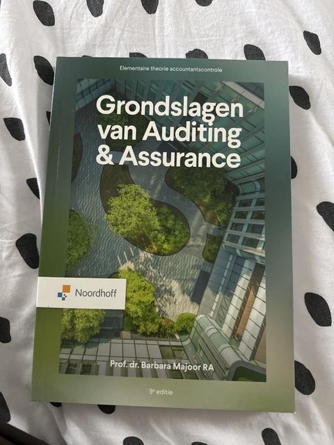 9789001034474-Grondslagen-van-auditing-en-assurance