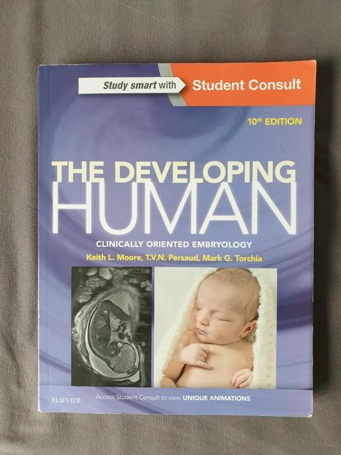 9780323313384-The-Developing-Human