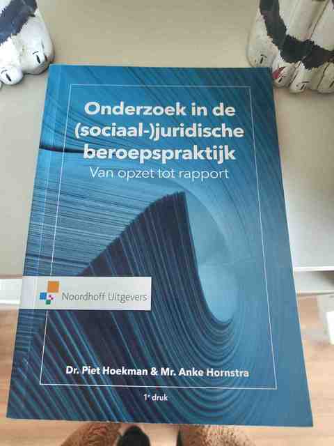 9789001879112-Onderzoek-in-de-sociaal-juridische-beroepspraktijk