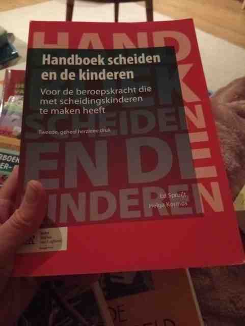 9789031398911-Handboek-scheiden-en-de-kinderen