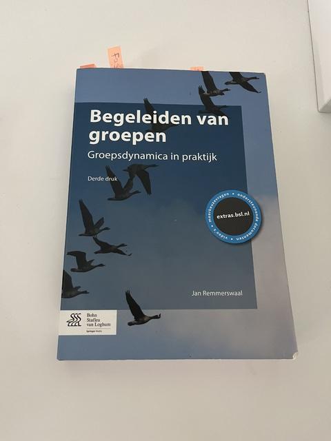 9789036807241-Begeleiden-van-groepen