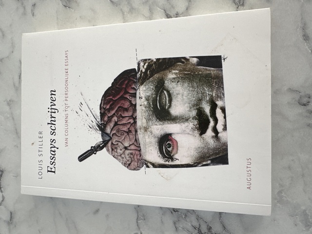9789045701363-Essays-schrijven
