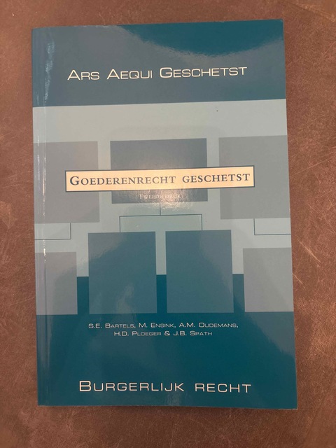 9789069168371-Goederenrecht-geschetst