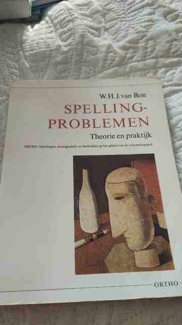 9789060698716-Spellingproblemen